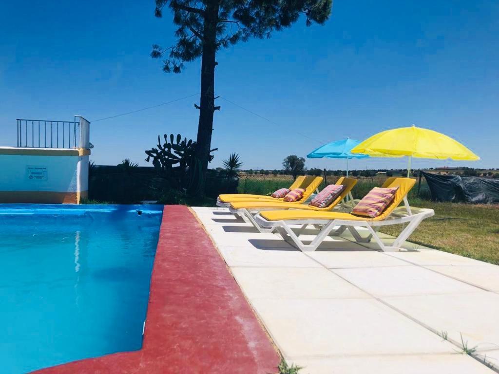Monte Ramos Guest House Ferreira Do Alentejo Ngoại thất bức ảnh