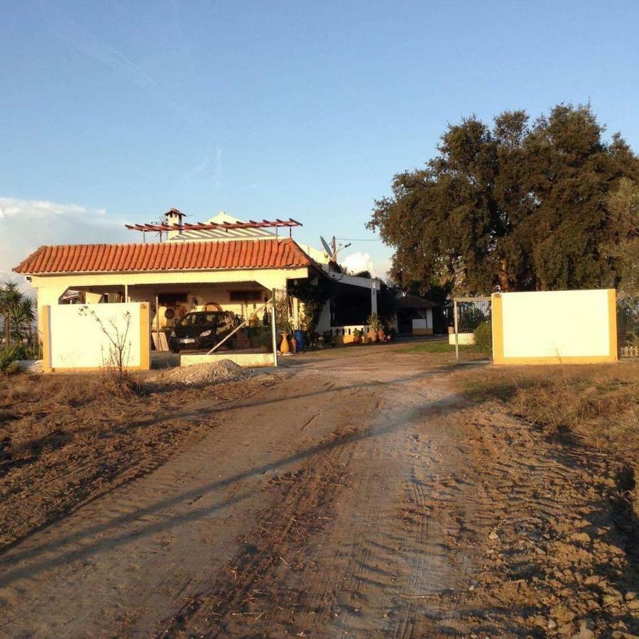 Monte Ramos Guest House Ferreira Do Alentejo Ngoại thất bức ảnh